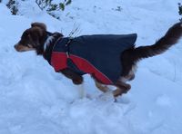 Thermo Winter Hundejacke Hunde Jacke Größe L Saarland - Mandelbachtal Vorschau