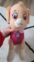 Großes Paw Patrol Skye Stofftier Bayern - Grafenwöhr Vorschau