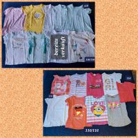 T-Shirts 110/116 Sommer kurzarm Minions H&M Hedwig Harry Potter Dresden - Löbtau-Süd Vorschau