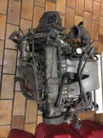 Peugeot/Citroën 1,6 Liter GTI Motor mit Getriebe Nordrhein-Westfalen - Horn-Bad Meinberg Vorschau