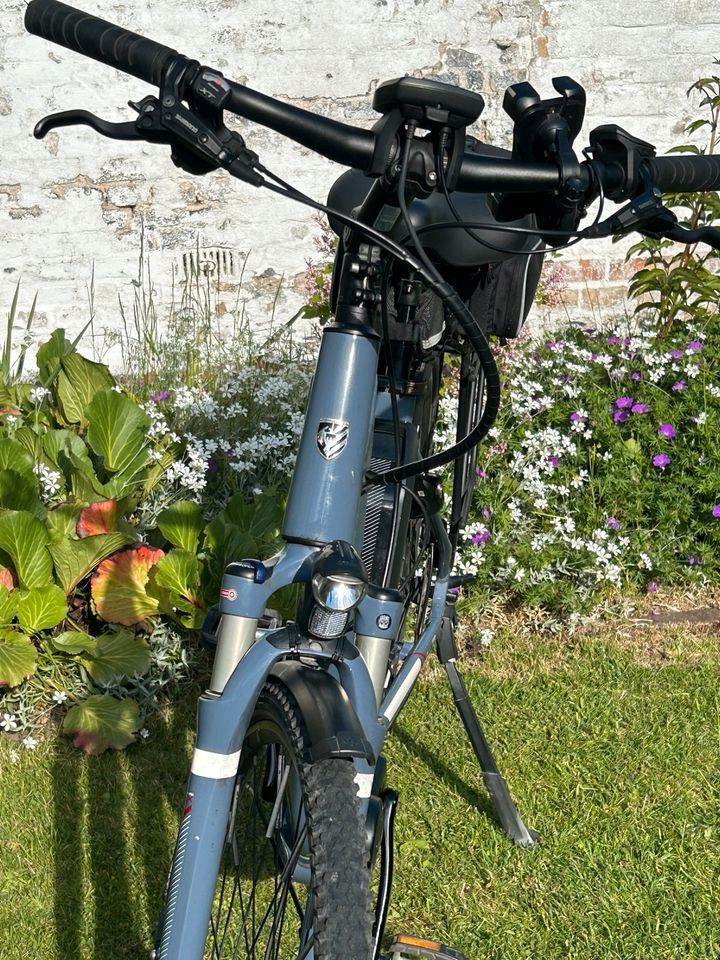 EBike Hercules Futura 10, Gr. 49, Bj. 2016, Bosch in Heiligenhafen 