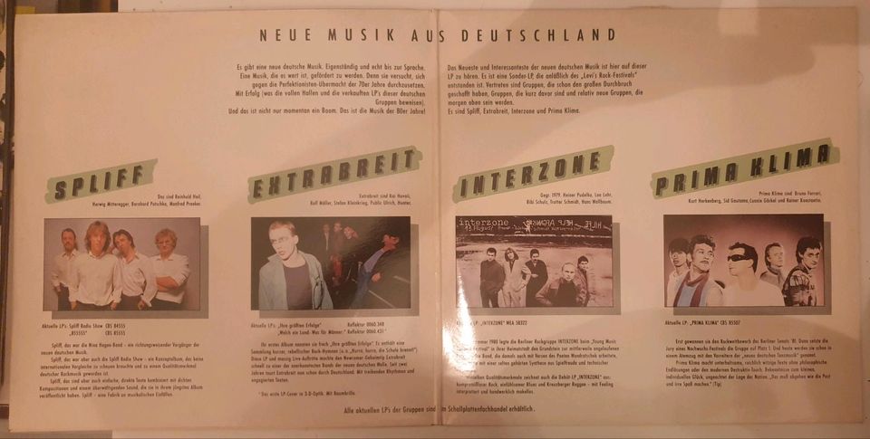 Schallplatte Rock Vinyl in Offenbach