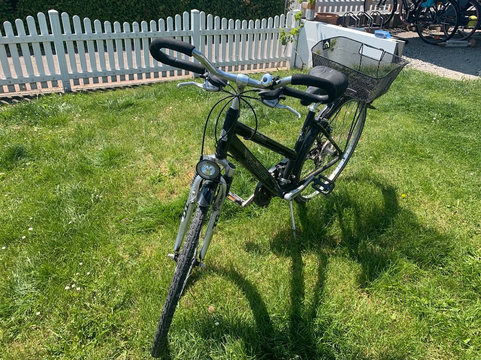 Fahrrad 28 Zoll Pegasus in Geseke