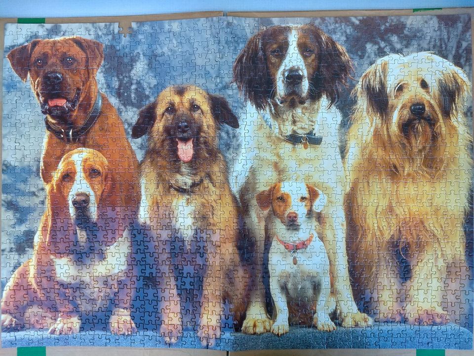 1000 Teile Puzzle Hunde 1 Randteil fehlt in Hamburg