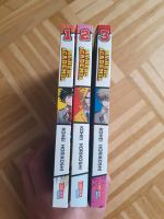 My hero academia manga band 1-3 Baden-Württemberg - Schallstadt Vorschau