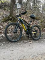 Emtb * Bosch * swyp* MTB * E-Bike * Dresden - Pieschen Vorschau
