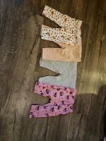 4 Leggings Sachsen-Anhalt - Magdeburg Vorschau