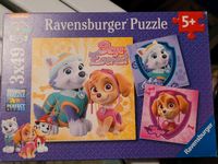 Puzzle paw patrol Baden-Württemberg - Balingen Vorschau