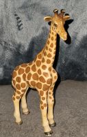 Schleich Giraffe 1998 Schleswig-Holstein - Hohenwestedt Vorschau