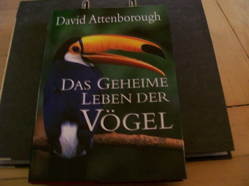 David Attenborough: Das geheime Leben der Vögel in Neckarbischofsheim