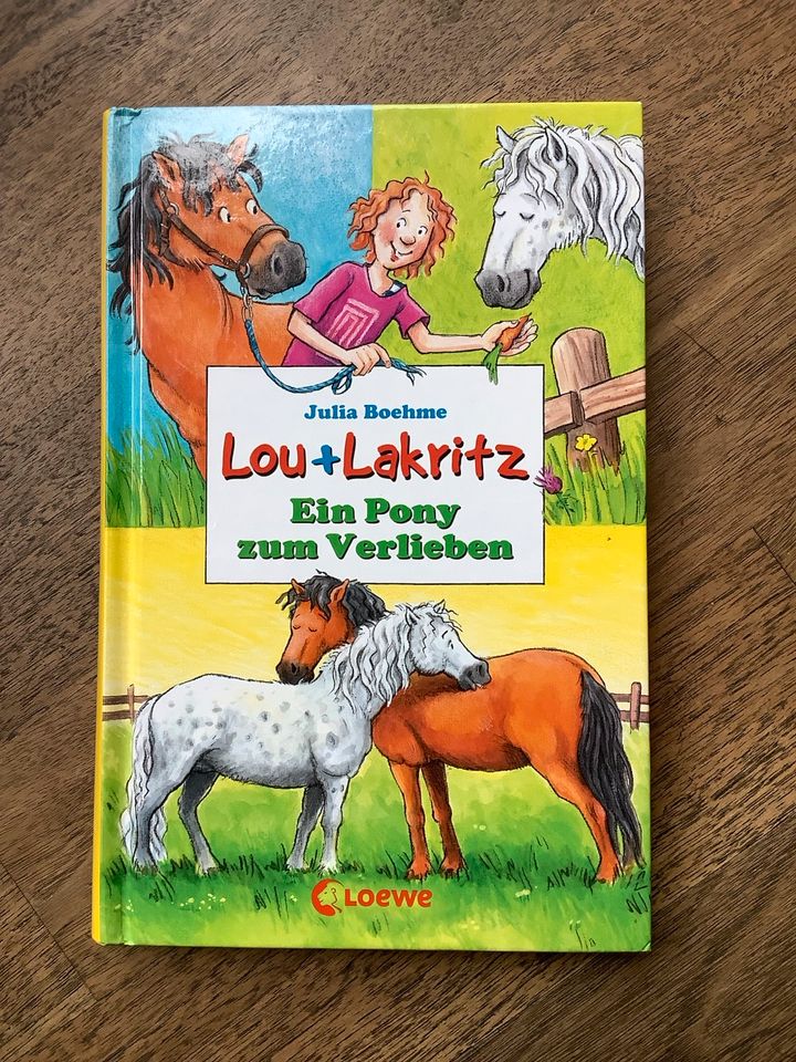 Kinderbuch "Lou & Lakritz - Ein Pony zum verlieben in Homburg