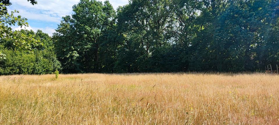 Freizeitgrundstück/Grünland oder Wiese zu verpachten 2200m2 in Schiffdorf