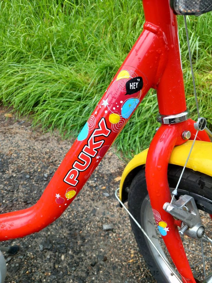 Puky Fahrrad rot, gut gepflegt, Kettenschutz, 16 Zoll, ab 4 Jahre in Mörlenbach