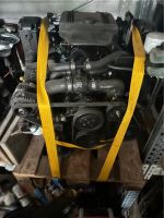 Mercruiser 6,2l MPI 383 Stroker Motor komplett - Generalüberholt Rheinland-Pfalz - Münster-Sarmsheim Vorschau