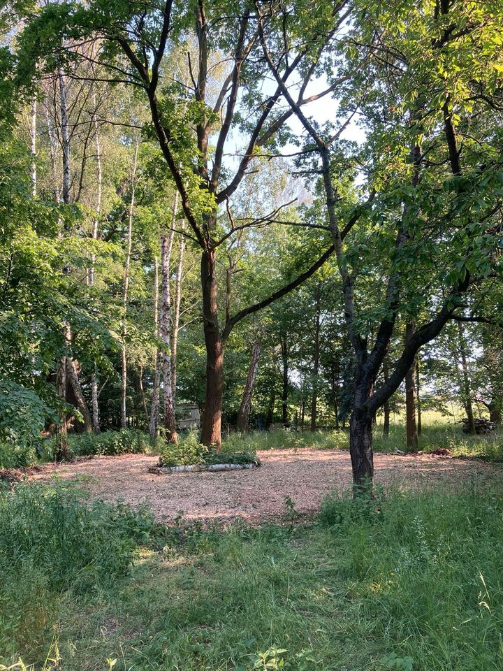 Garden Plot in Unterspreewald in Berlin