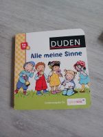 Kinderbuch Duden alle meine Sinne Thüringen - Nohra Vorschau