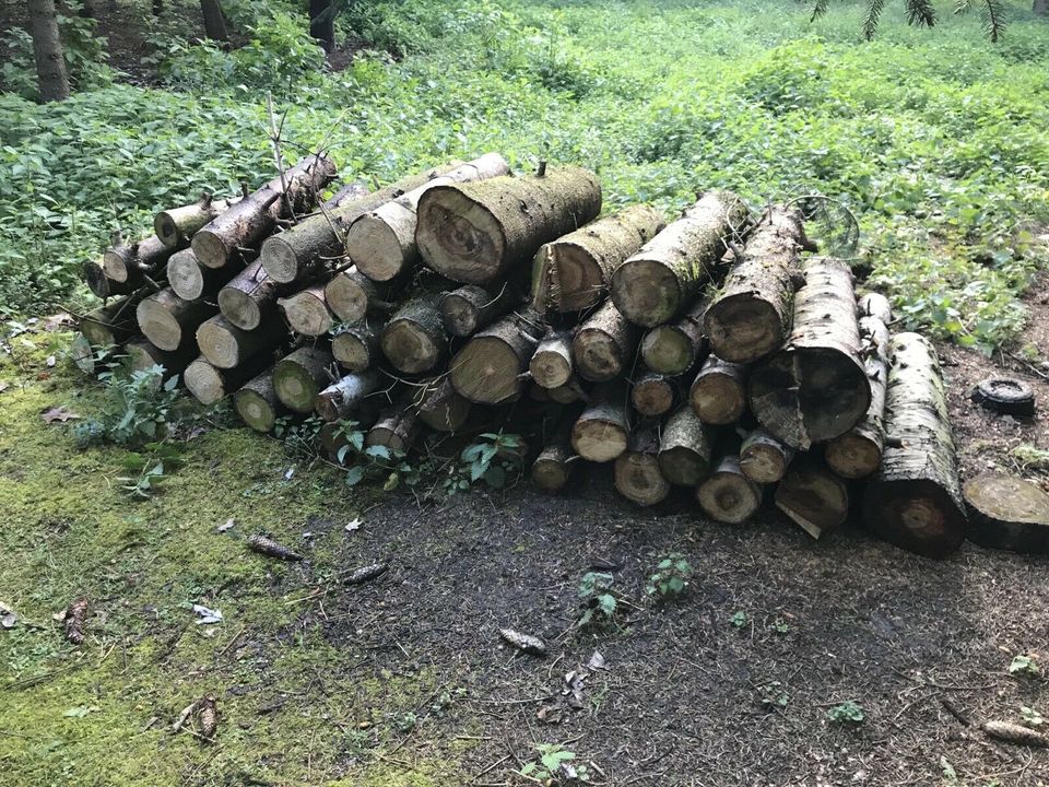 Brennholz Holz Feuerholz Kaminholz in Steinfurt