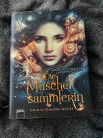 Die Muschelsammlerin, Charlotte Richter, Fantasy Buch Niedersachsen - Ronnenberg Vorschau