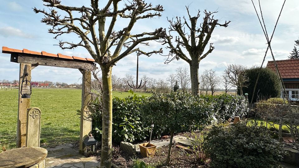 Exklusive Lage, wundervoller Garten und großzügiges Wohnen! (SY-6251) in Nienhagen