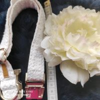 Hundehalsband mit Blume, Hochzeit Nordrhein-Westfalen - Nieheim Vorschau