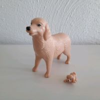 Hund mit Welpe / Spielzeug / Kind Nordrhein-Westfalen - Alpen Vorschau
