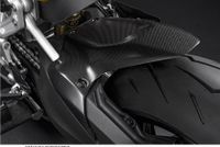 Ducati Carbon Kotflügel hinten Panigale 1199 1299 V2 Streetfighte Bayern - Untersiemau Vorschau