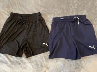 2 Shorts von Puma Größe 152 Düsseldorf - Heerdt Vorschau