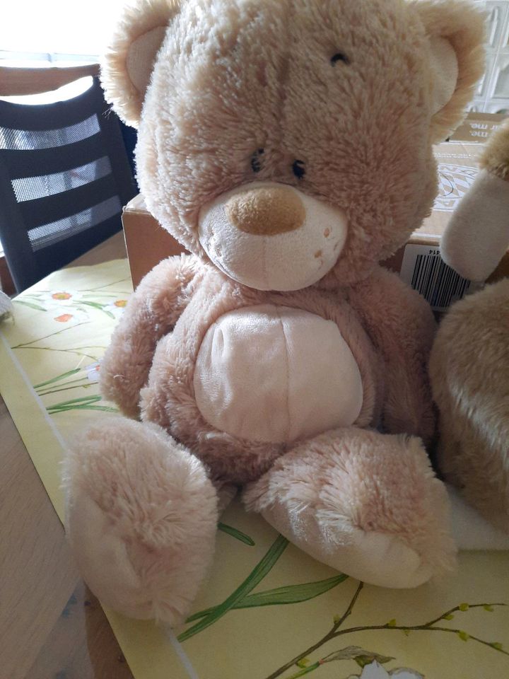 Kuscheltier Stofftier Teddy in Schuttertal