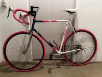 Francesco Moser Corsa PINK, 58cm Hessen - Bensheim Vorschau