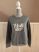 Hollister Pullover Shirt Größe M 38 langarm Winter Boho Fashion Niedersachsen - Wedemark Vorschau