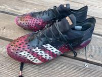 Adidas Predator Nordrhein-Westfalen - Kreuzau Vorschau