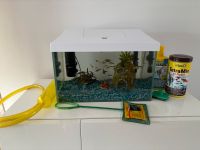 AQUARIUM SET FISCHE PUMPE HEIZER FISCHFUTTER RECHNUNG Saarland - Eppelborn Vorschau