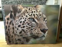 Leinwand, großes Leinwandbild Leopard Hessen - Erbach Vorschau