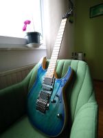 Ibanez RG370 RG370AHMZ Saarland - Mandelbachtal Vorschau