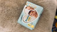 Pampers Windeln, Babywindeln 2 Packungen nicht aufgemacht Feldmoching-Hasenbergl - Feldmoching Vorschau