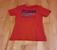 Neuwertig * Puma T-Shirt Gr. 152 in rot Rostock - Markgrafenheide Vorschau