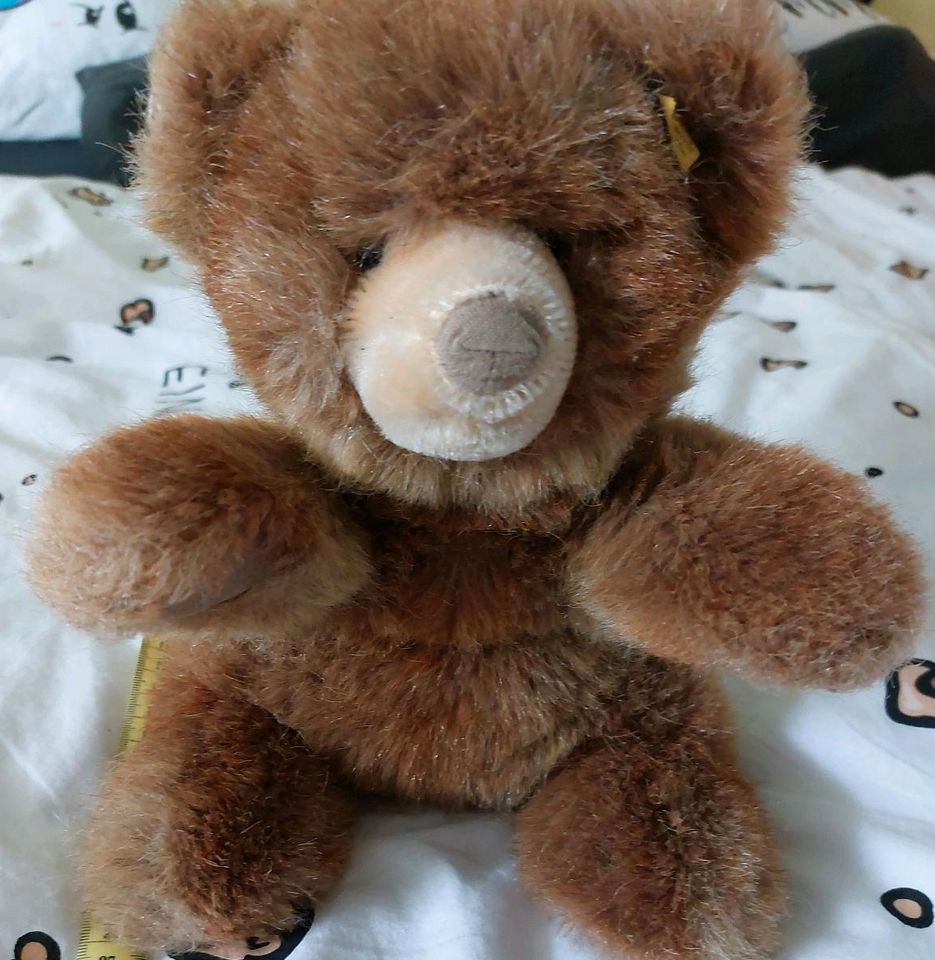 Steiff Teddy gr.ca 35cm Molly Teddy PA55 Mass 73 in Magdeburg