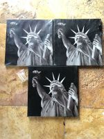 NEU 3Stück Bilder auf Keilrahmen Liberty New York Freiheitsstatue Sachsen-Anhalt - Salzwedel Vorschau