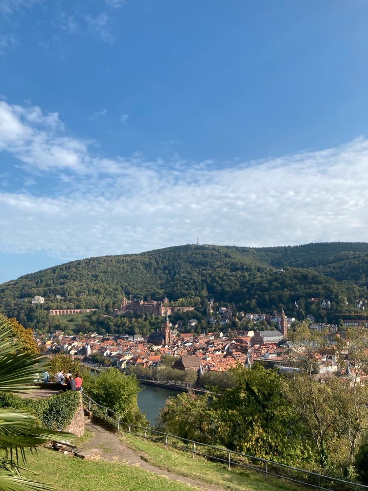 Waldnahe Ferienwohnungen bei Heidelberg in Heidelberg