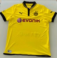 9x signiert * Borussia Dortmund Puma Trikot XXL 2012/2013 Kurzarm Dortmund - Innenstadt-West Vorschau
