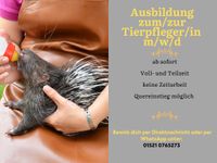 Ausbildung zum/zur Tierpfleger/in (m/w/d) Mitte - Wedding Vorschau