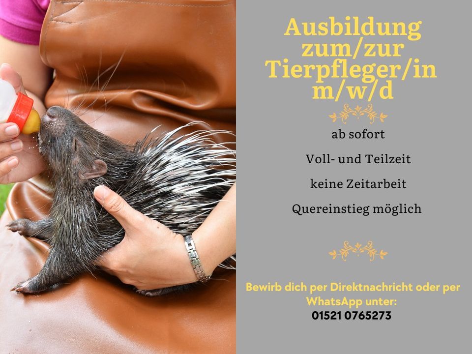 Ausbildung zum/zur Tierpfleger/in (m/w/d) in Berlin