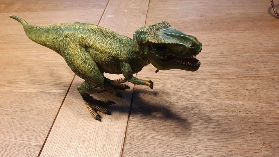 Dinosaurier von Schleich in Meppen