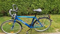 Herrenfahrrad 28 Zoll, Trekking Fahrrad " MC Kenzie Travel 100" Hessen - Trendelburg Vorschau