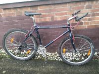 Mountainbike Bergamont "Chacok" 26 Zoll Klassiker 90er Hannover - Vahrenwald-List Vorschau