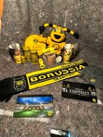 BVB / Borussia Dortmund Fan Paket Niedersachsen - Südbrookmerland Vorschau