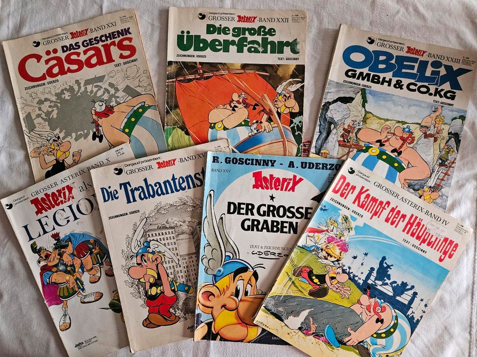 Großer Asterix Band verschiedene Bände Stückpreis 4,00 in Stoltebüll