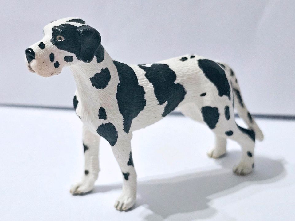 Deutsche Dogge Schleich Neuwertig in Darmstadt