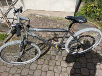 Fahrrad 26 Zoll-Fischer Shinamo 21 Gang Hessen - Offenbach Vorschau