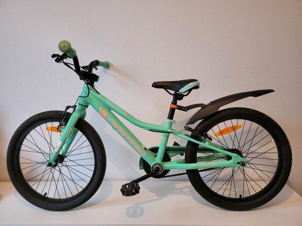 gepflegtes 20 Zoll Cannondale Kinderfahrrad in Dresden